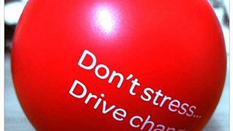 What Stress Actually Does to You and What You Can Do About It