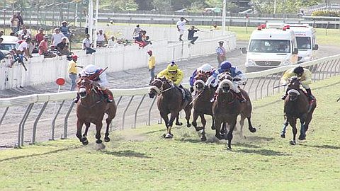 Hippisme : Wieland Intouchable !