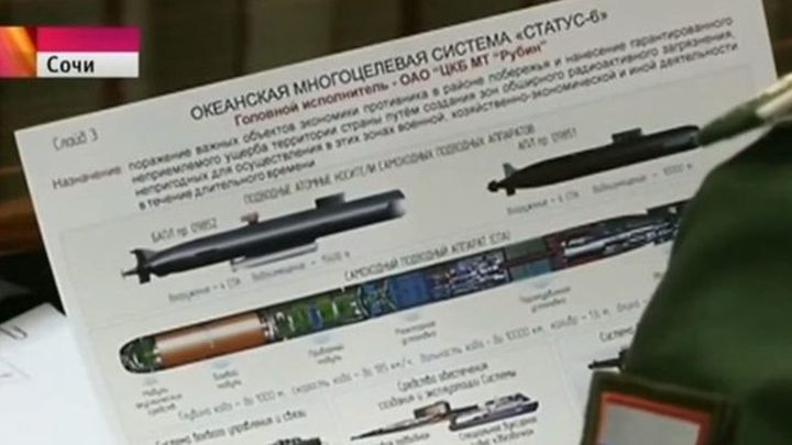 Technical details of the torpedo were clearly visible in the brief shot on state TV