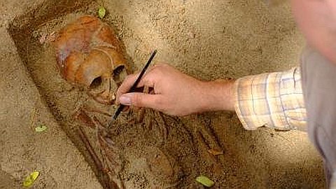 Le Morne: The Material History of the First Creole Construction