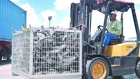 Thon Local : Intérêt des Chinois et des Russes