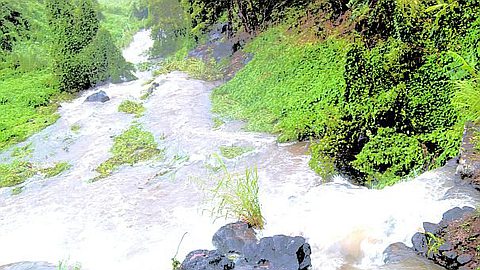 Nomination Day : l’ESC se Prononce ce Matin