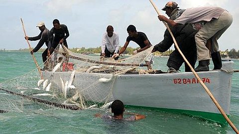 Seining: Season Extended to October 10