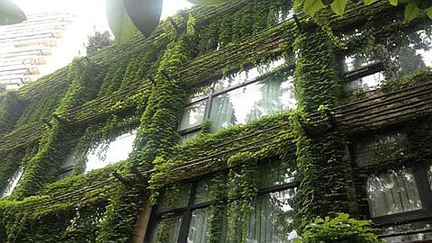 Sustainability Opportunities Exist In BRICs