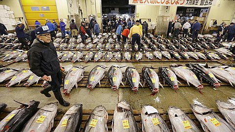 Lutchmeenaraidoo embarrasse le ministère de la Pêche