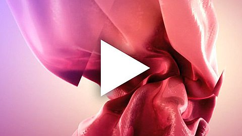 Video of The Day: Dancing Like Nobody's Watching