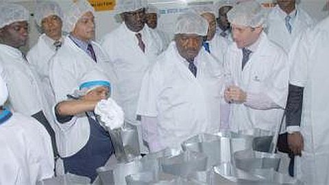 Thon Of Mascareigns: Opening A Factory In Gabon In November