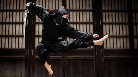 Innovation, Ninja-Style