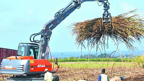 Harvest 2012: Rs 87.5 Million From The Sugar