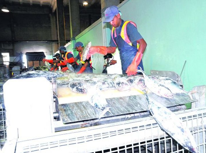 The "Seafood Hub" Takes Off