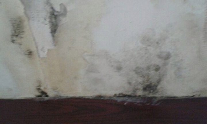 Mould covered the walls in the hotel bedroom