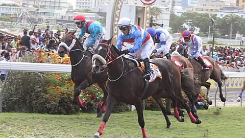 Hippisme: Emerald Approach en Véritable Finisseur