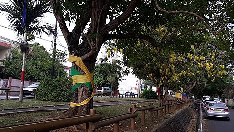 Parc Roland Armand, Rose-Hill : « un parc de référence » de Rs 100M bientôt aménagé