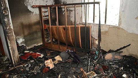 Fans: No Import Controls