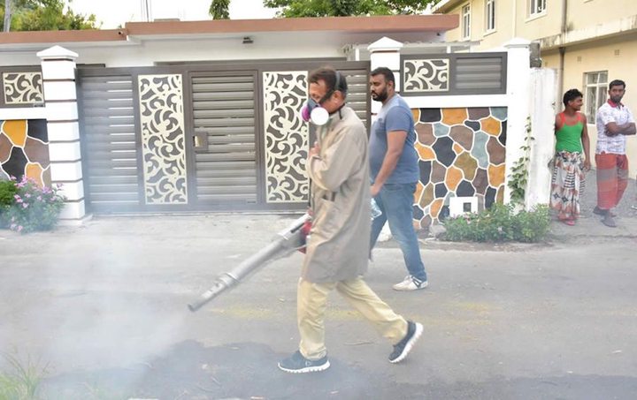 Dengue : 13 cas répertoriés dans l’île