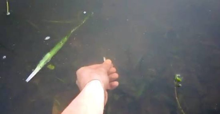 Video of the Day: Fishing Like a Boss