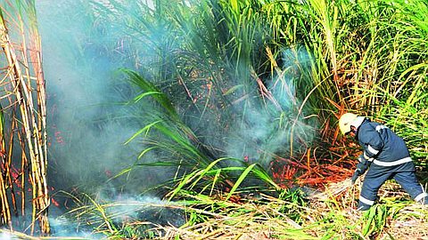 Incendie Dans Le Nord : Rs 20 Millions En Fumée