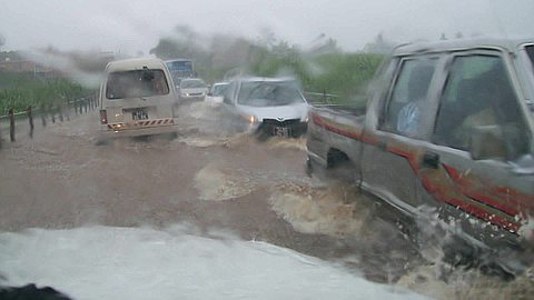 Heavy rains: more than half of southern plantations affected