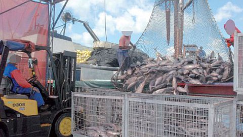 Sunil Bholah : «L’achat de bateaux semi-industriels pour bientôt»
