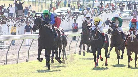 Horse Racing - 9th Day: Tales Of Bravery Wins in Record Time!