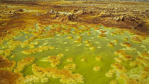 Picture of the Day:In the desert of the Danakil