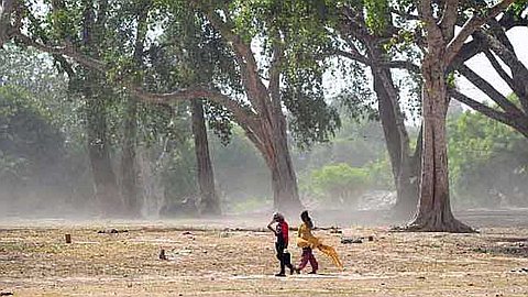 Heat Wave Kills Over 1,100 in Andhra Pradesh and Telangana