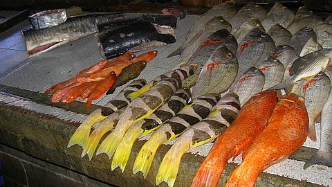 Poisson Frais: Bientôt un Luxe