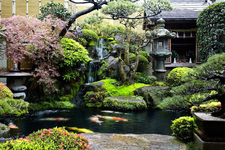 Picture of the Day: Backyard Garden in Japan