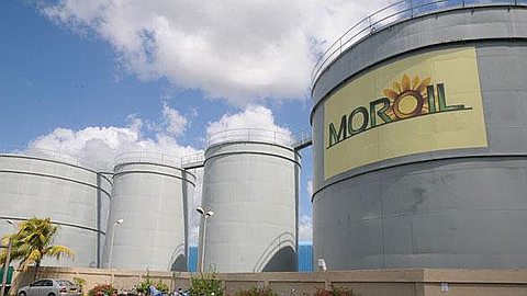 Consumption: 4.5% Drop in the Price of Edible Oil