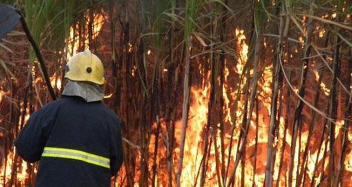 Two Fields of Cane Fires at Flacq
