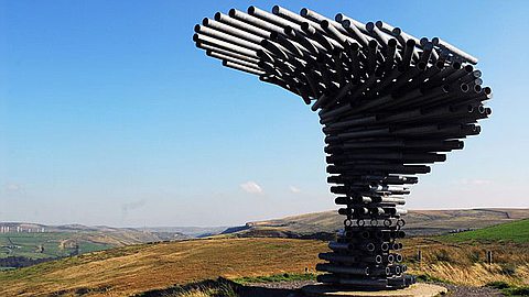 Video of the Day: The Singing Ringing Tree