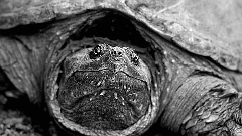 A 3-Step Problem-Solving Method for Any Problem