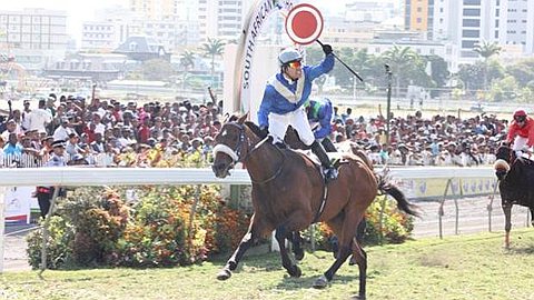 Horse Racing - The Princess Margaret Cup (Gr.1 - 1400m): Liquid Motion Wins Royal Sprint