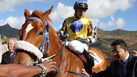 Horse Racing: Arena Case Takes A New Turn