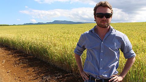 In Mauritius, Gourmet Rice Points to a Brighter Future