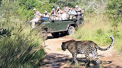 Travel: Devaluation of Rand the Pleasure for Mauritians