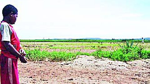 Madagascar future entreprise (MFE): Arrêt définitif du projet avec Daewoo