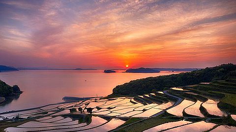 Picture of the Day: Rice Terrace Sunset