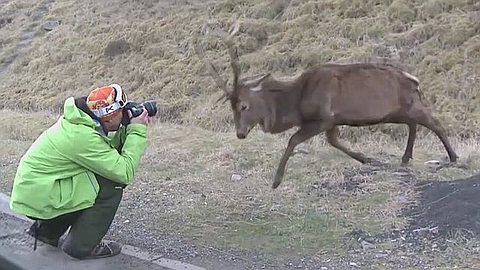 Video of the Day: Best Fails of the Week July 2013