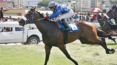 Turf, 18th Day: The Second Round of the Championship 4-Year 