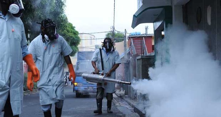 Dengue: Triolet on Alert
