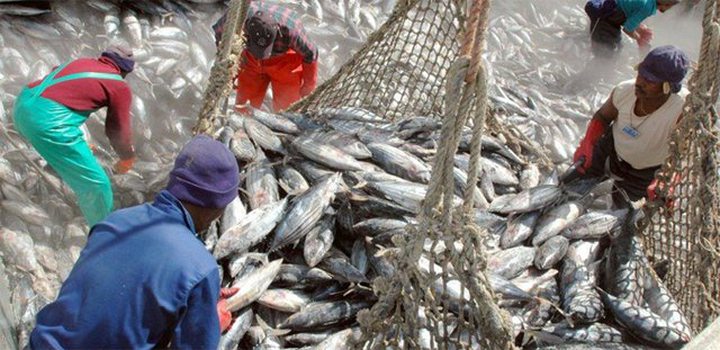 Ministry of Fisheries Defends Agreements with EU