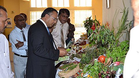 Youth Clubs Farmers and Agricultural Entrepreneurs to Harvest Fruits