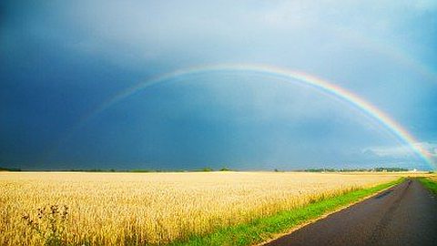 The Employee Motivation Checklist