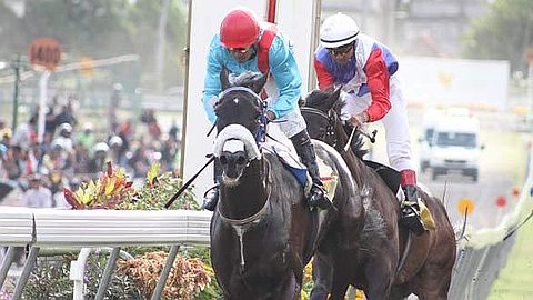 Horse Racing, 21th Day: Vettel Attack Mauritius Derby