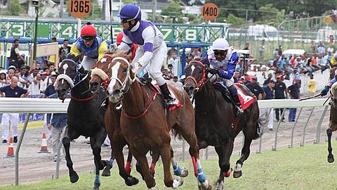 Horse Racing - Day 5 - The Camille L. Nairac Cup: Hot Rocket Resists all Attacks!