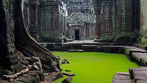 Picture of the Day: Ta Prohm Temple, Cambodia