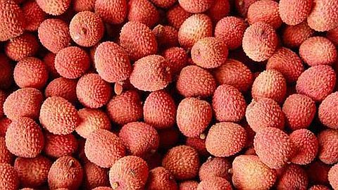 Madagascar: Lychee Export by Sea