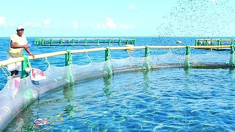 Aquaculture : Rs 8 Millions Injectées
