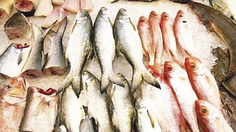 Faire de l’Economie Océanique un Pilier Important